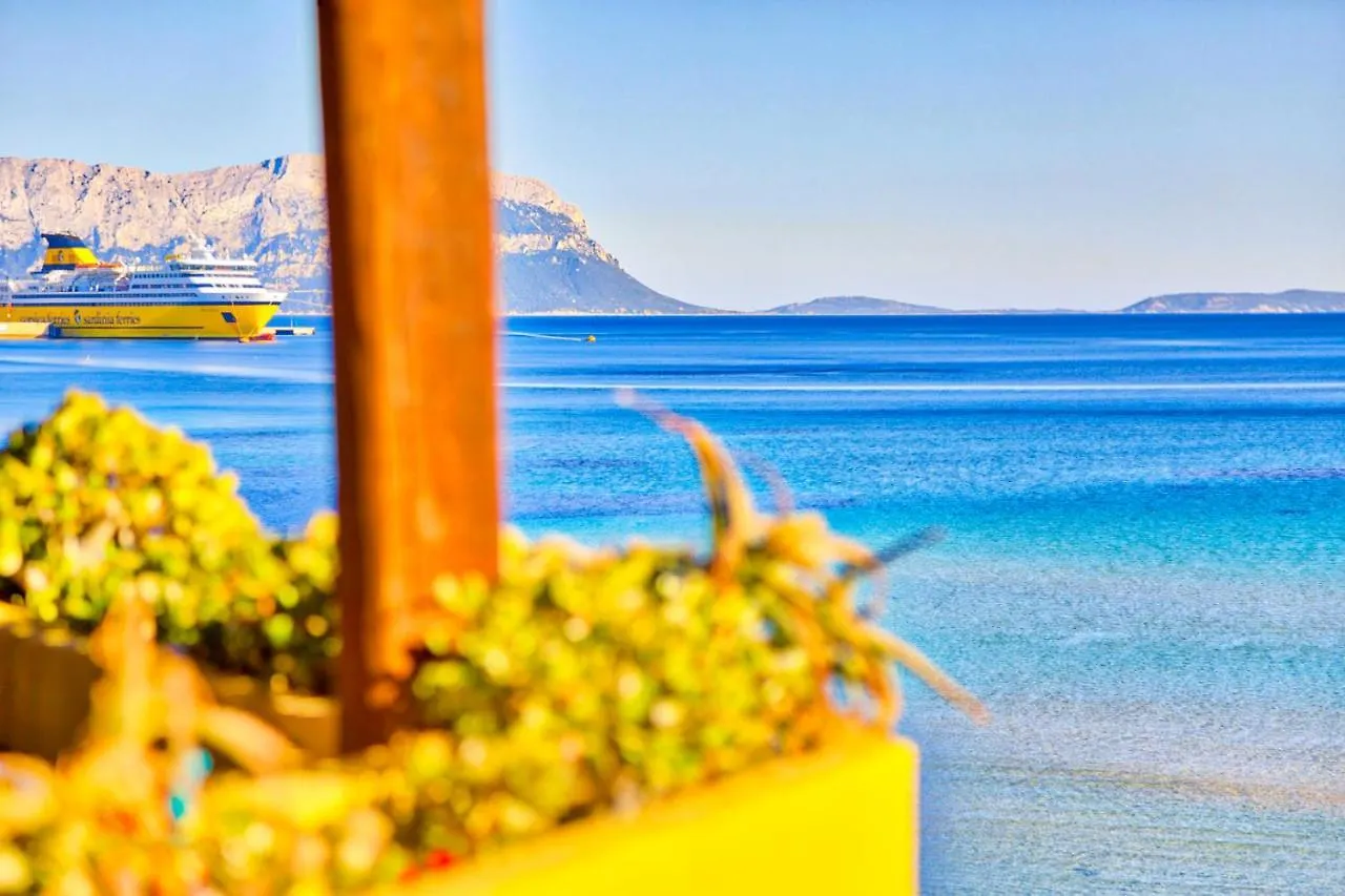 Διαμέρισμα Appartamenti Ortensia Golfo Aranci